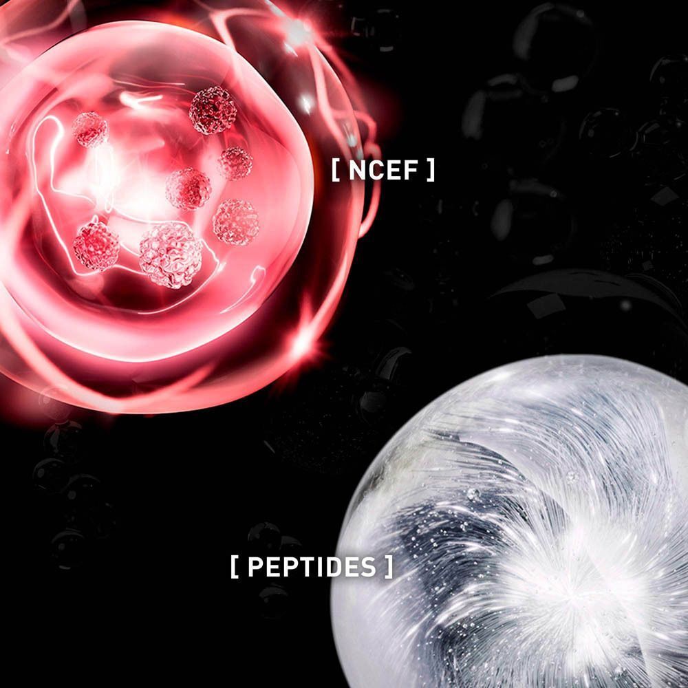Représentation abstraite de cellules. Texte : '[NCEF]' et '[PEPTIDES]'.