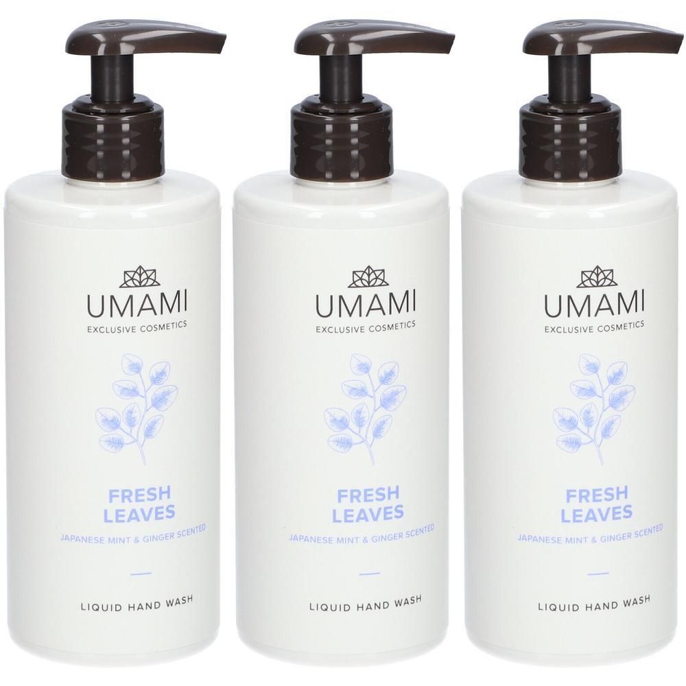 Umami Fresh Leaves Vloeibare Handzeep Japanse Munt &amp; Gember