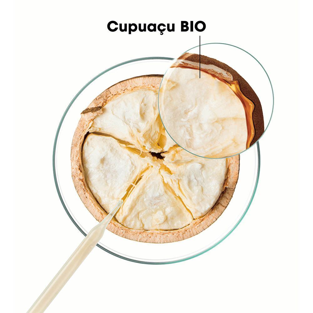 Fruit du cupuaçu en coupe transversale, avec une loupe montrant la pulpe.