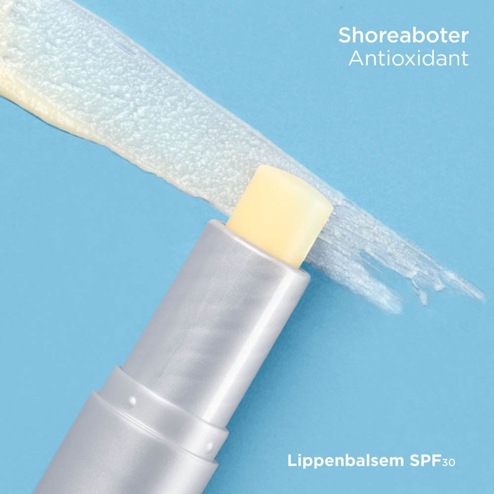 Lippenbalsemstift en producttoepassing. Tekst: Sheaboter. Antioxidant. Lippenbalsem SPF30.