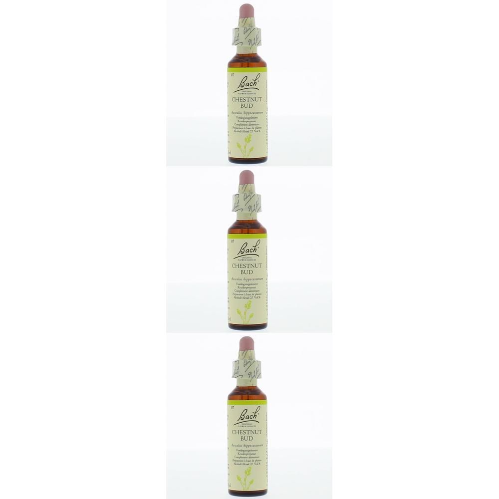 Trois flacons de liquide brun, étiquette avec texte. Bouchon rose et pipette. Inscription : Chestnut Bud.