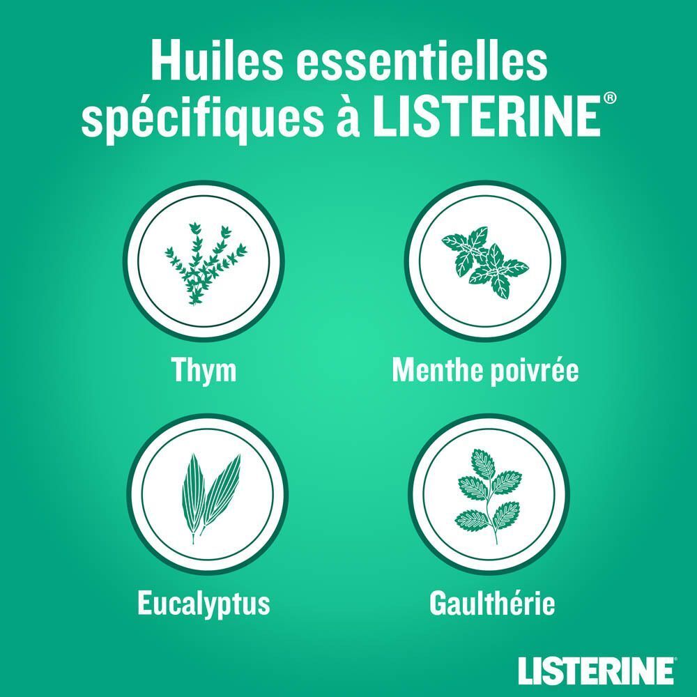 Quatre cercles avec herbes : Thym, Menthe poivrée, Eucalyptus, Gaulthérie. Logo Listerine en bas à droite.