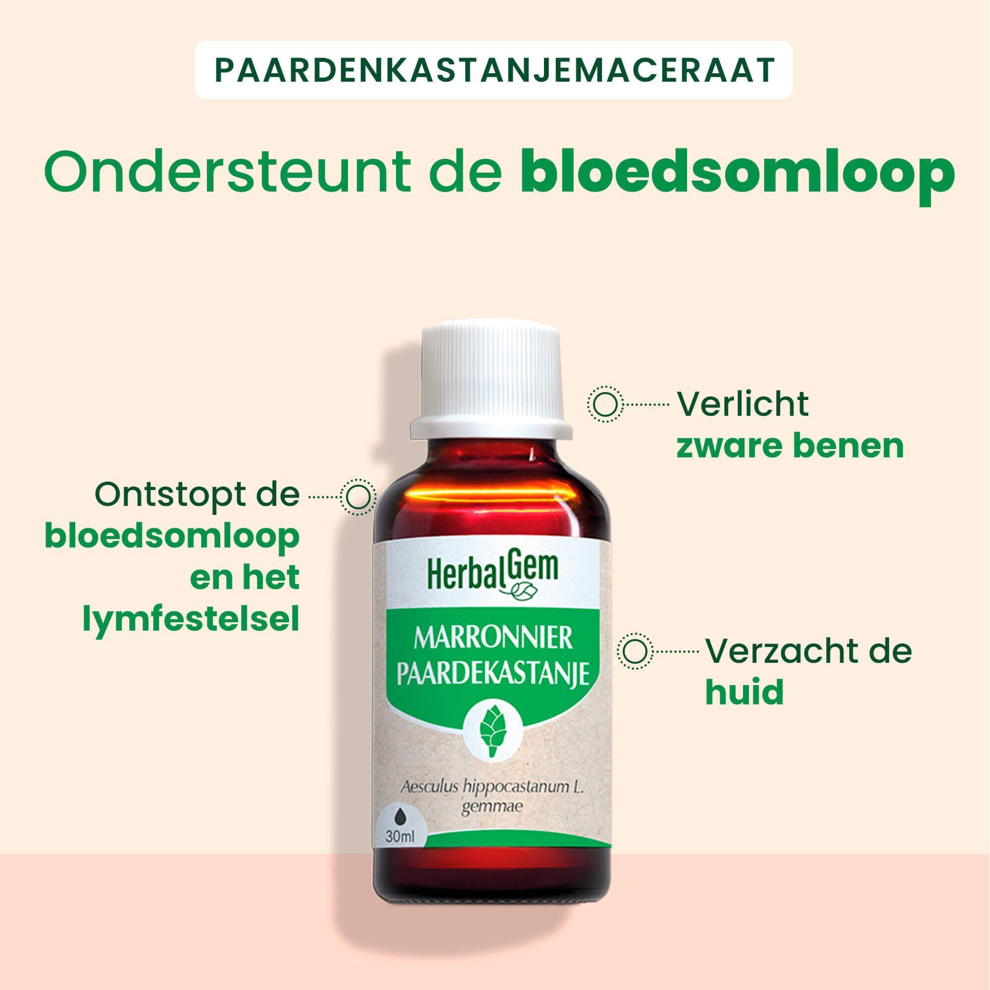 Fles HerbalGem Marronnier Bio. Tekst: Ondersteunt de bloedsomloop, Ontstopt de bloedsomloop en het lymfestelsel.