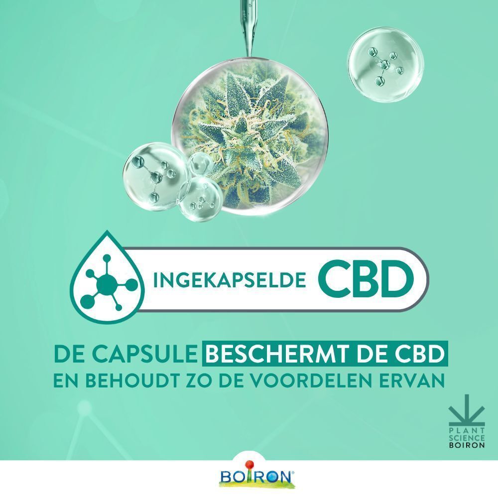 CBD-capsuleconcept. CBD-druppels, cannabisblad, groene en blauwe elementen.