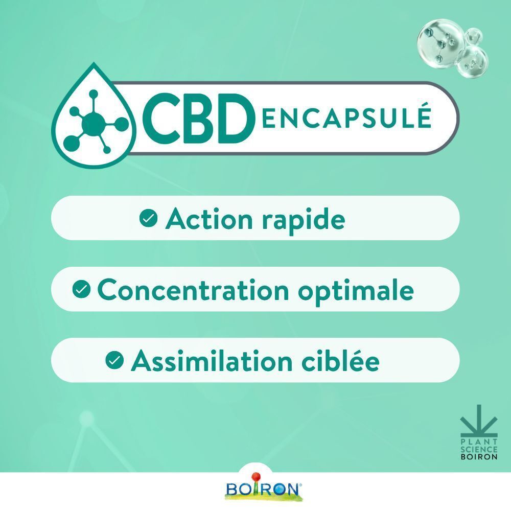 Concept de capsule de CBD. Action rapide, concentration optimale, assimilation ciblée.