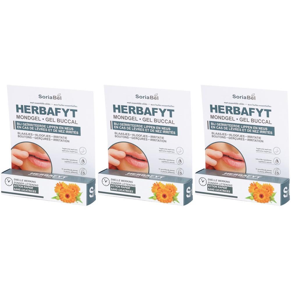Trois présentoirs Herbafyt Gel buccal. Chaque présentoir comprend un tube et une carte publicitaire avec des informations sur le produit.