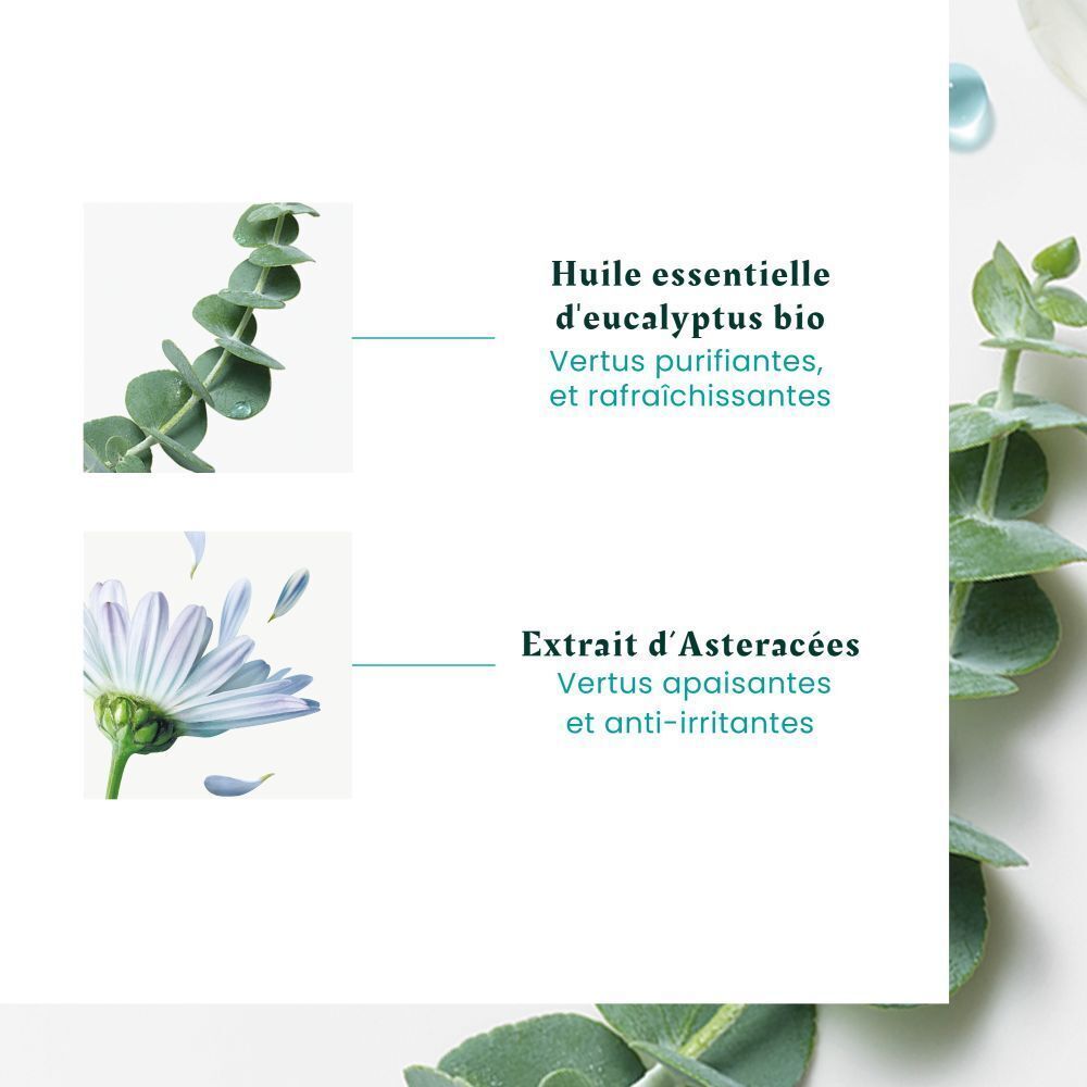 Gros plan de feuilles d'eucalyptus et d'une fleur. Texte : Huile essentielle d'eucalyptus bio.