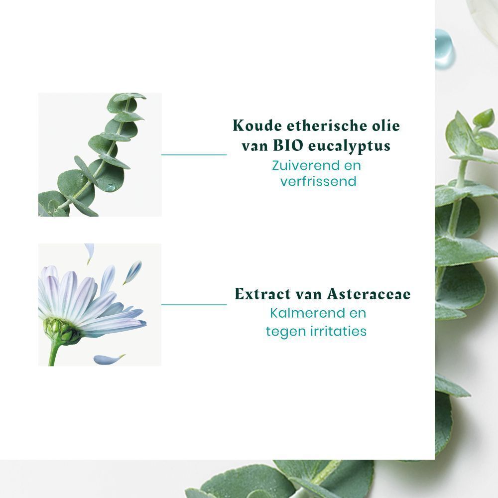 Close-up van eucalyptusbladeren en een bloem. Tekst: Huile essentielle d'eucalyptus bio.