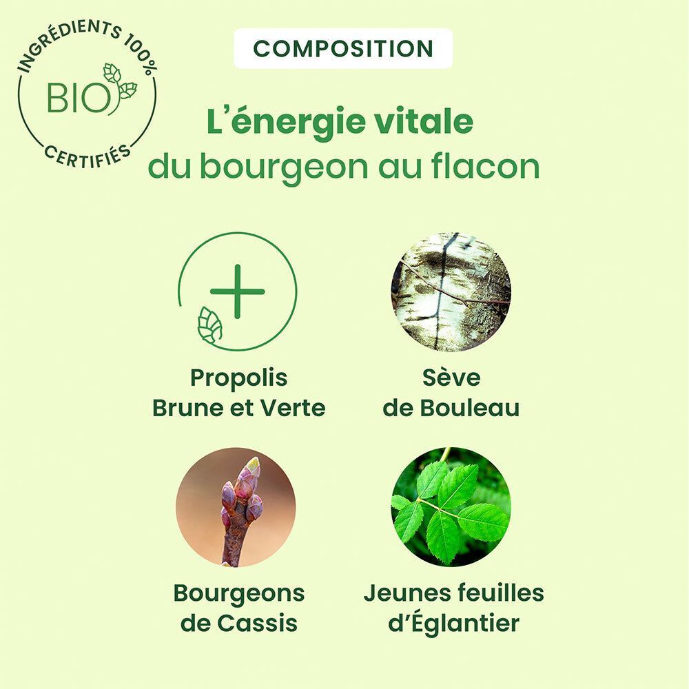 Composition des Monodoses Propolis. Propolis, sève de bouleau, bourgeons de cassis, jeunes feuilles d'églantier.