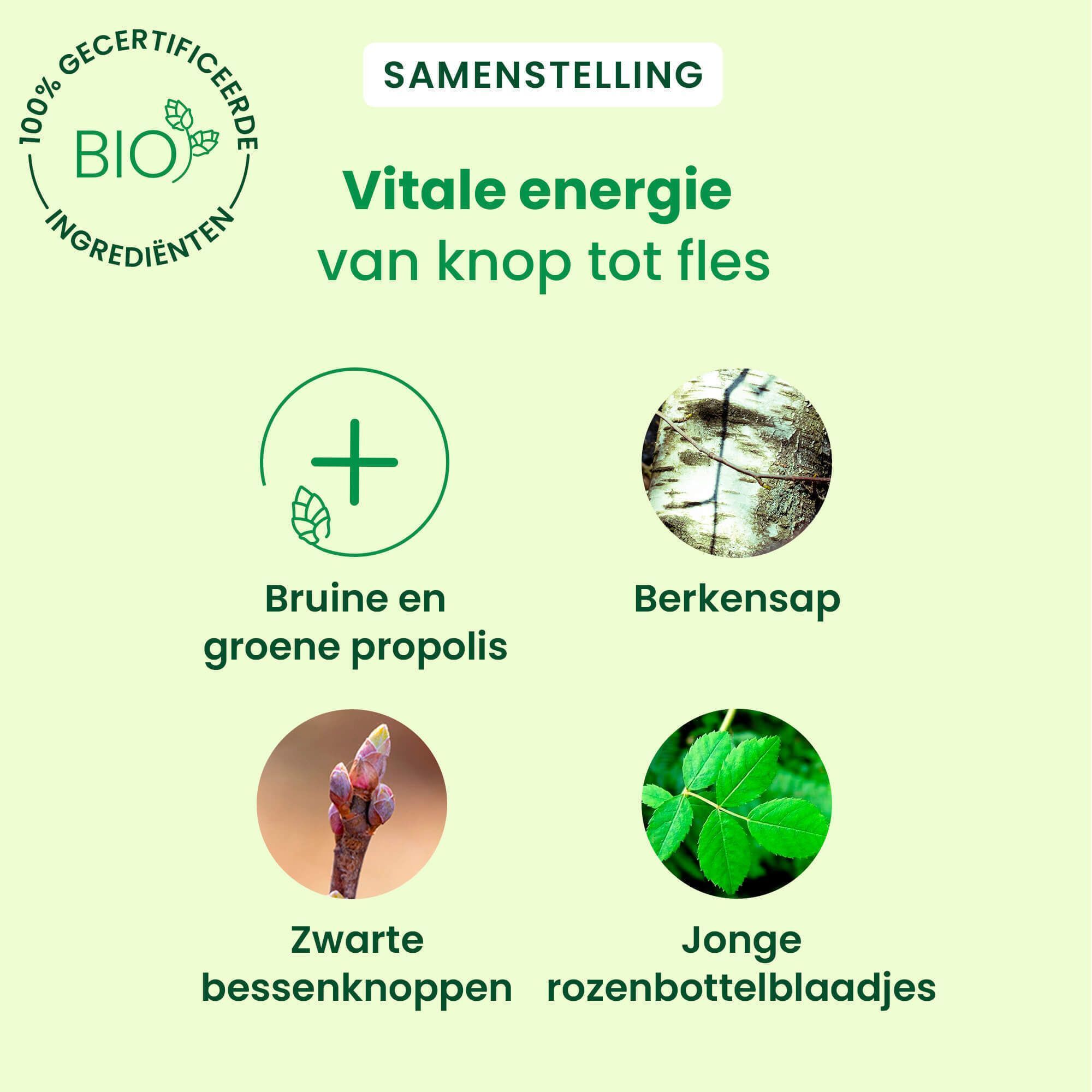 Samenstelling van Monodoses Propolis Express. Propolis, berkensap, zwarte bessenknoppen, jonge rozenbottelblaadjes.