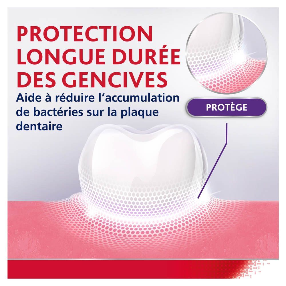 Modèle de dent avec illustrations. Texte: Protection longue durée des gencives. Aide à réduire l'accumulation de bactéries.