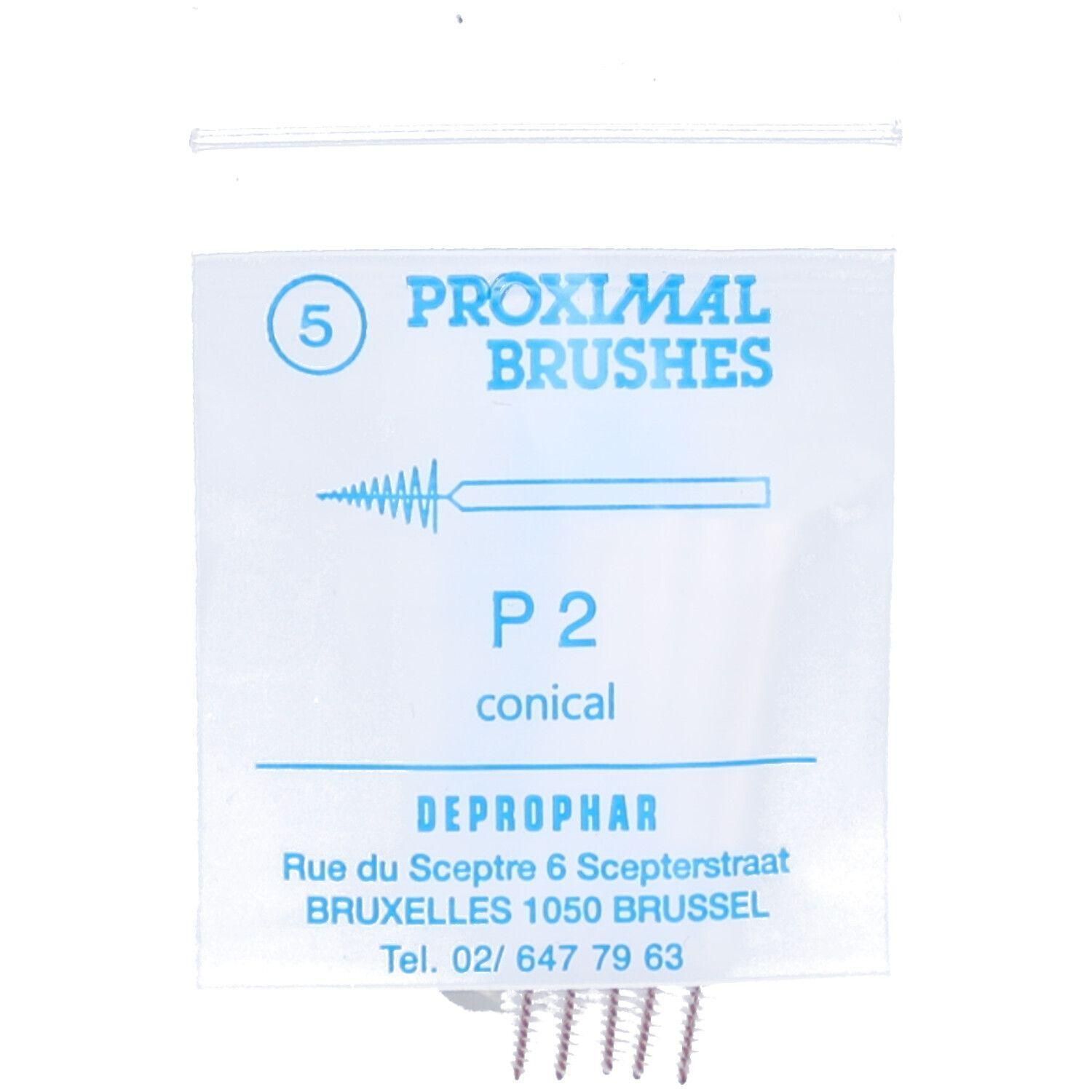 Proximal Brushes P2 conisch, 5 stuks. Kleine borsteltjes met draadhandvat.