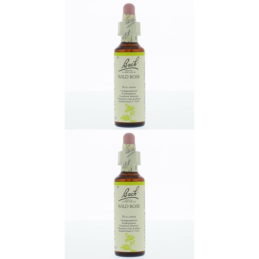 Deux flacons de gouttes de Bach Wild Rose avec bouchon compte-gouttes et étiquette.