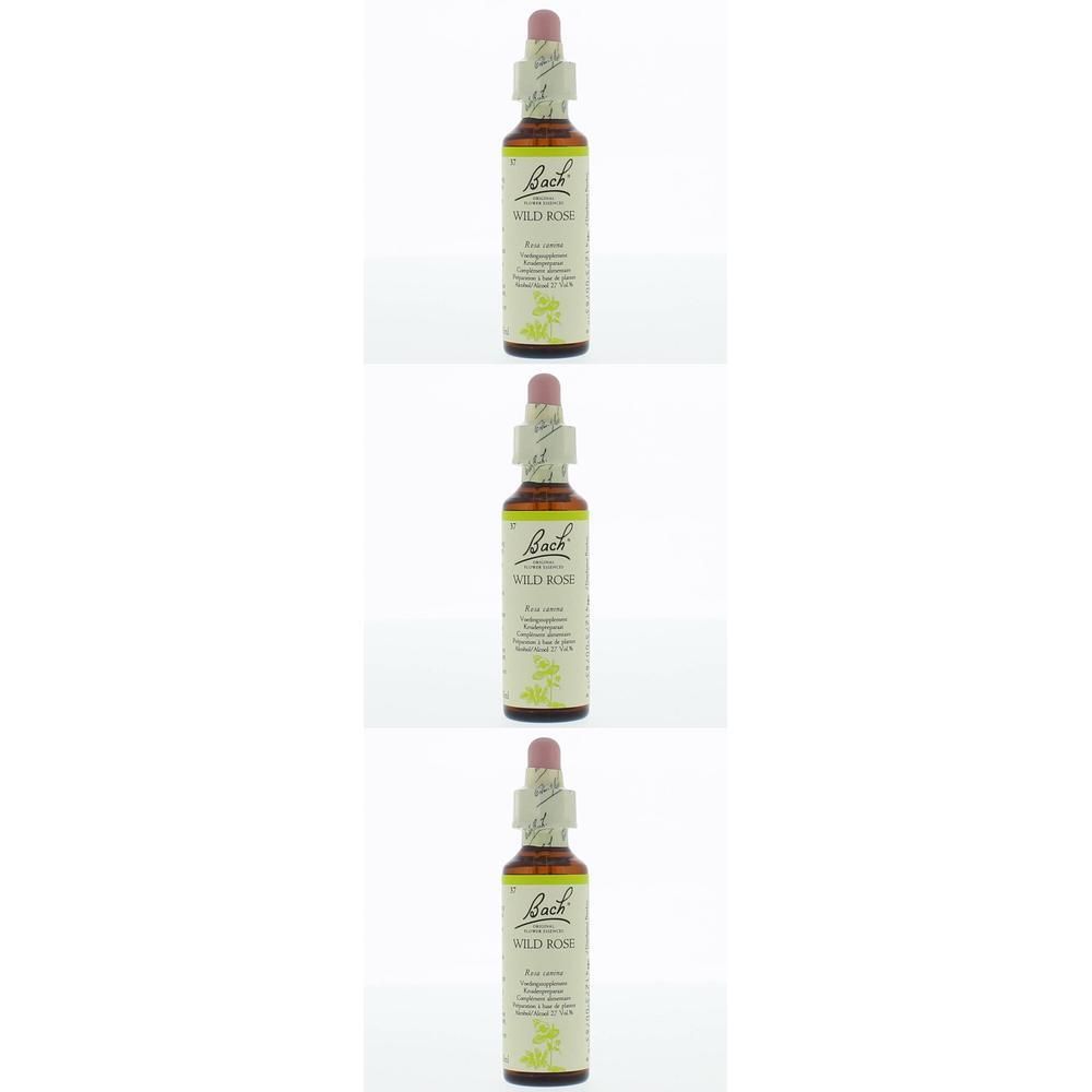 Trois flacons de Bach Flower Wild Rose avec bouchon compte-gouttes et étiquette.