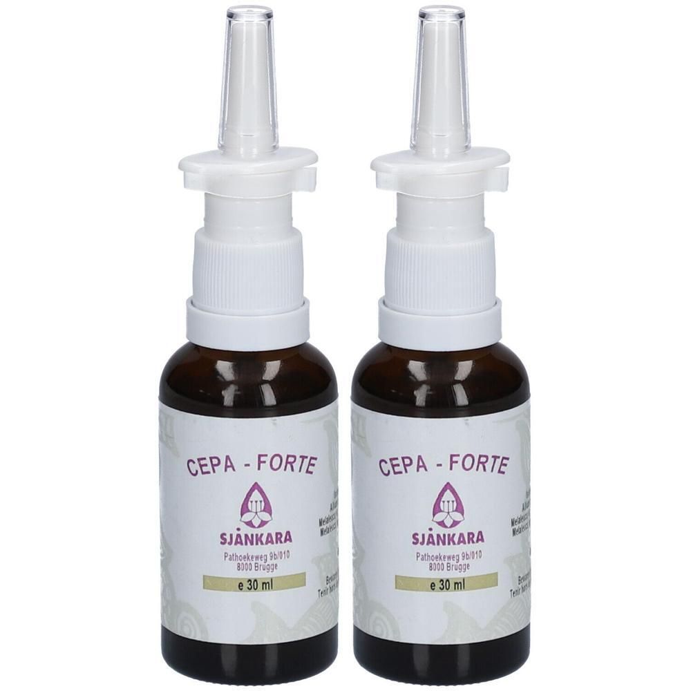 Twee CARE PLUS Anti-Insect roll-on flesjes met citroen-eucalyptus geur.