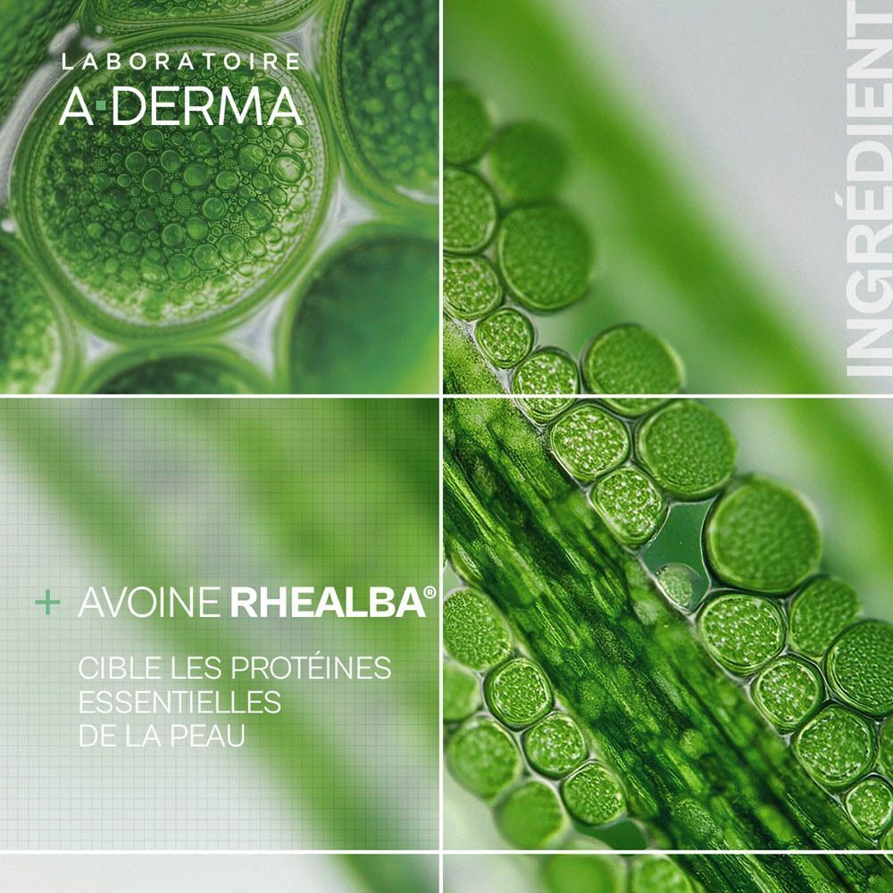 Gros plan sur des cellules d'avoine Rhealba ciblant les protéines essentielles de la peau.