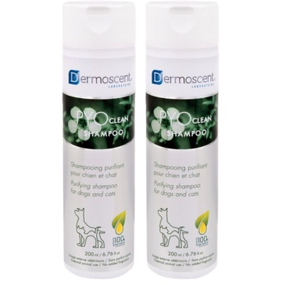 Twee flessen Dermoscent Pyoclean shampoo voor honden en katten, 200ml.