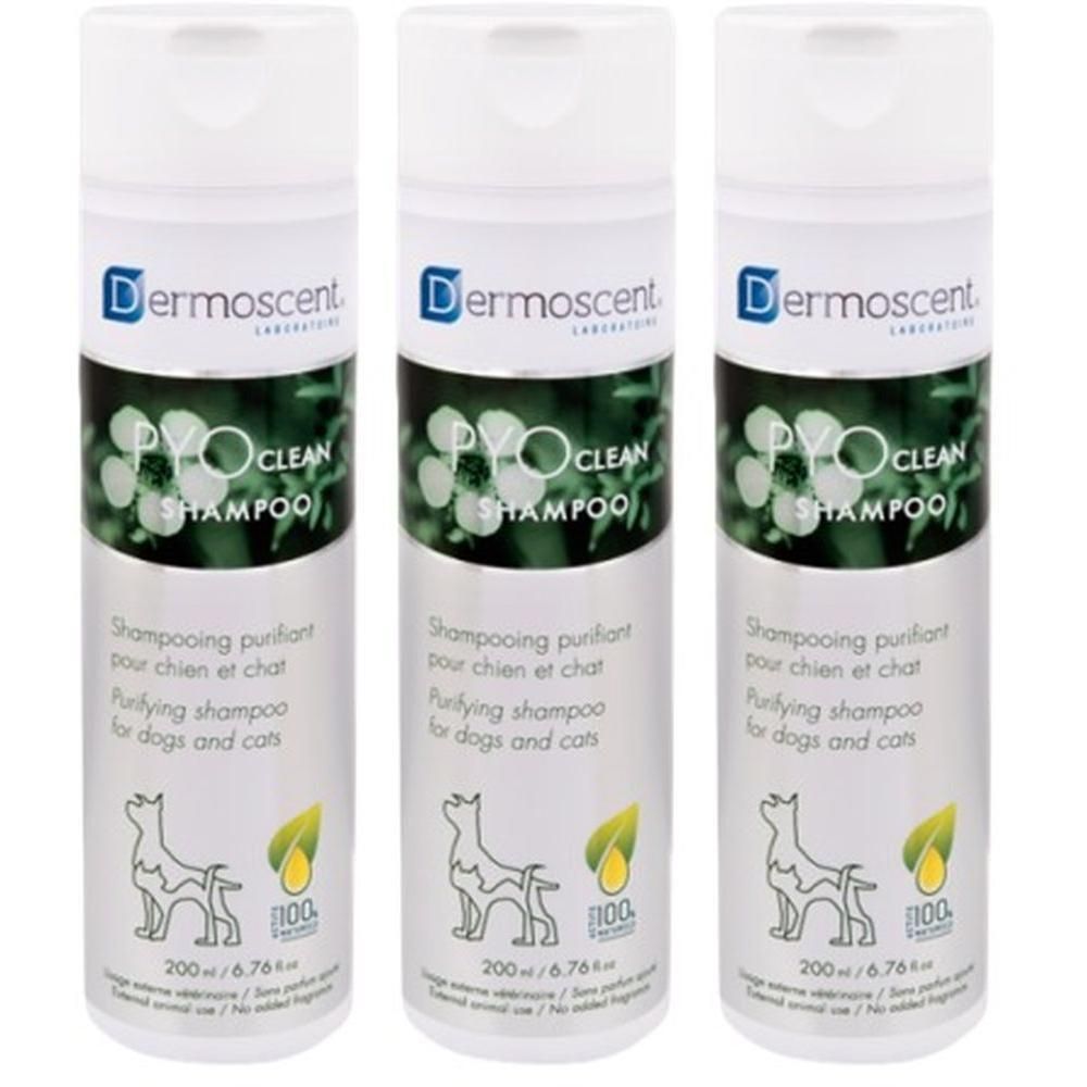Drie flessen Dermoscent Pyoclean Shampoo voor hond en kat. Zuiverende shampoo.