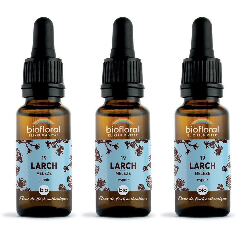 Trois flacons en verre brun avec compte-gouttes, étiquette "19 LARCH Mélèze".