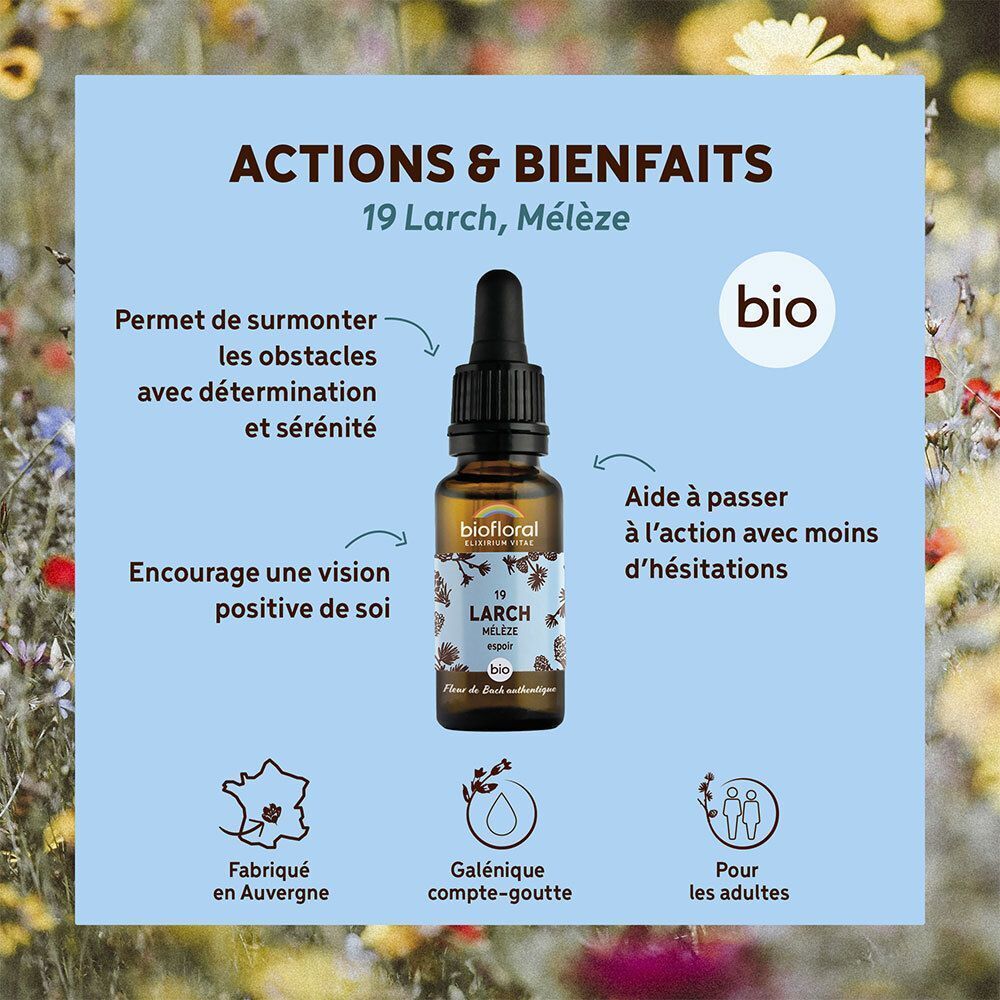 Flacon avec pipette, étiquette "19 LARCH Mélèze", "bio", "Fabriqué en Auvergne".