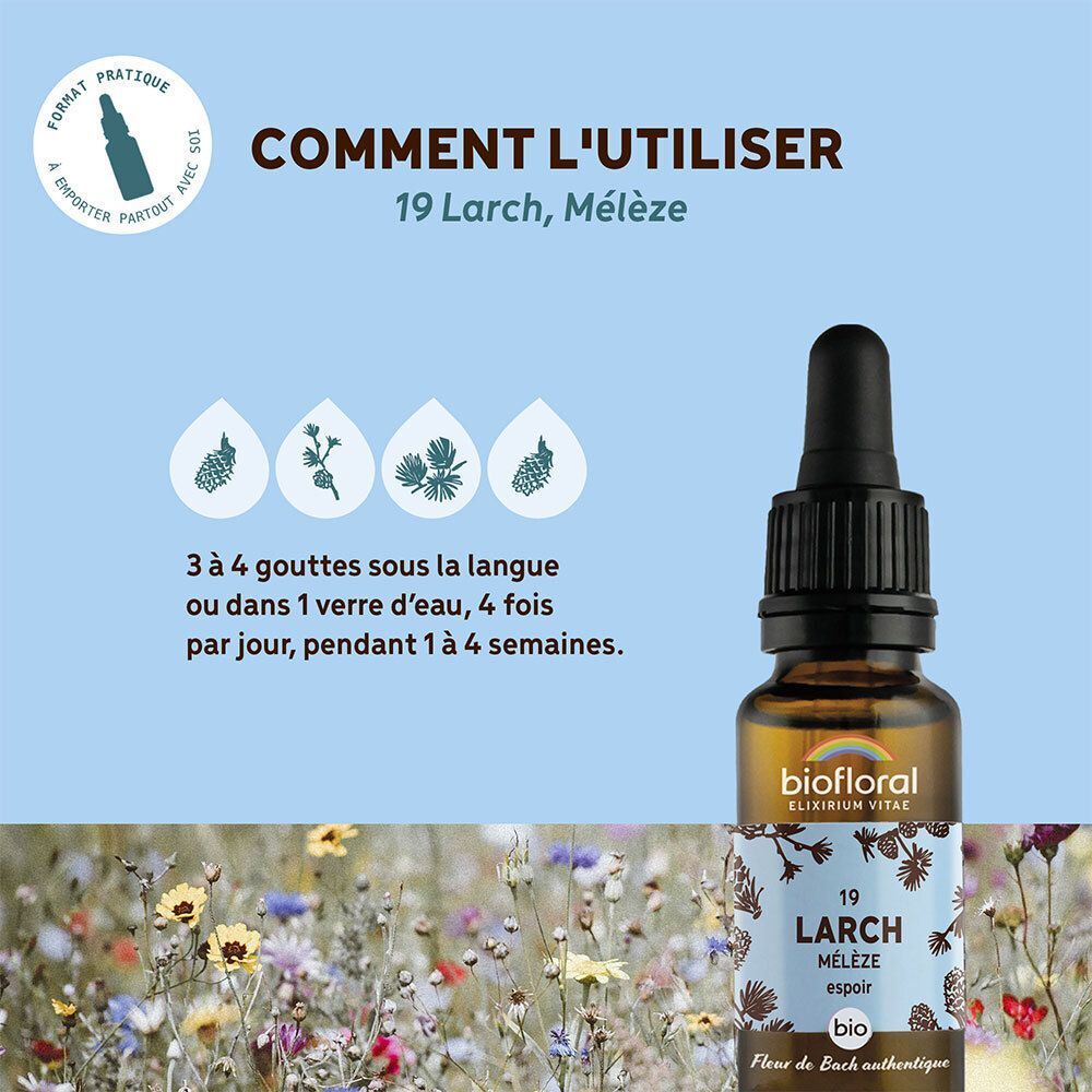 Flacon avec pipette, étiquette "19 LARCH Mélèze", "bio". "Format pratique".