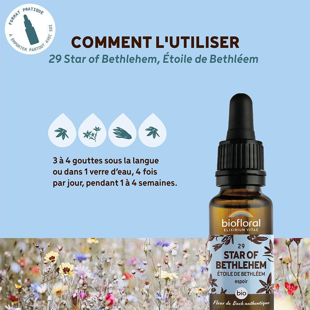 Flacon compte-gouttes Biofloral Étoile de Bethléem avec instructions d'utilisation.