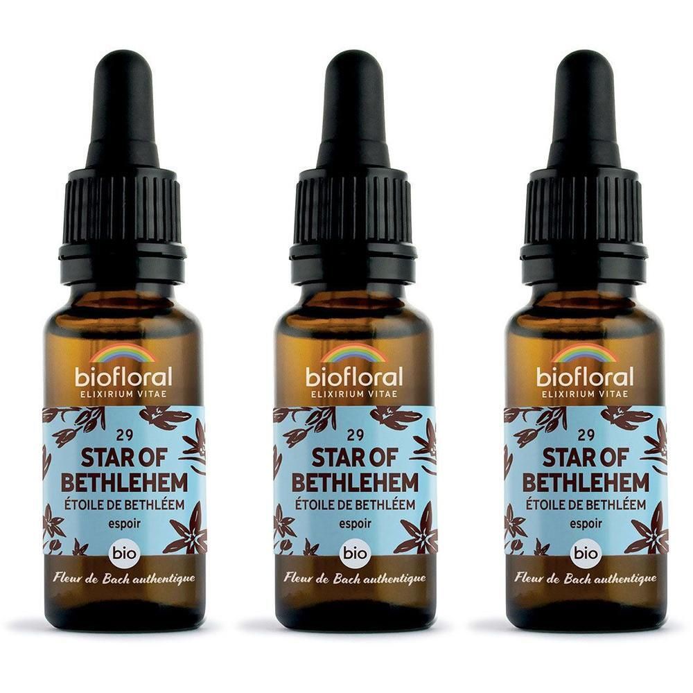 Trois flacons en verre brun avec compte-gouttes, étiquette "Star of Bethlehem" et "bio".