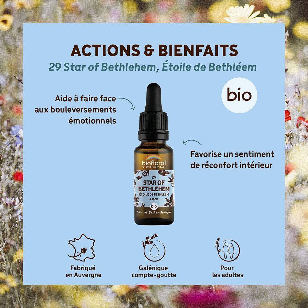 Flacon BIOFLORAL 29 Star of Bethlehem, "Actions & Bienfaits", "bio", "Fabriqué en Auvergne".
