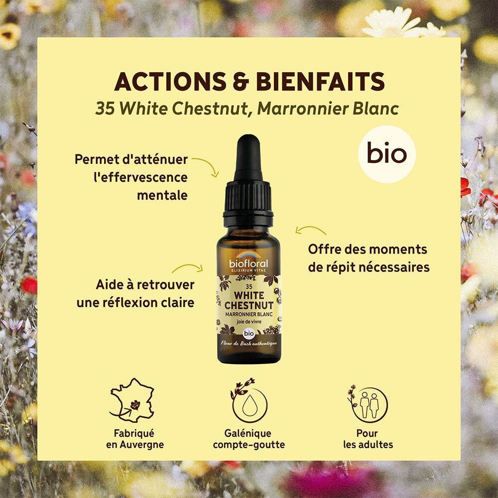 Flacon compte-gouttes de Marronnier Blanc, Biofloral. Avec texte sur actions et bienfaits.