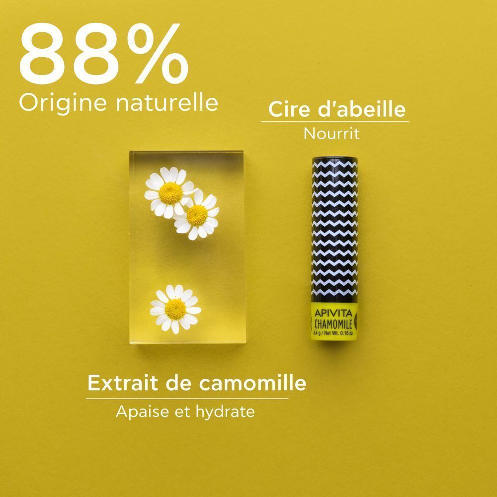 Baume à lèvres à côté d'un bloc avec des fleurs de camomille. 88% d'origine naturelle. Extrait de camomille apaise et hydrate.