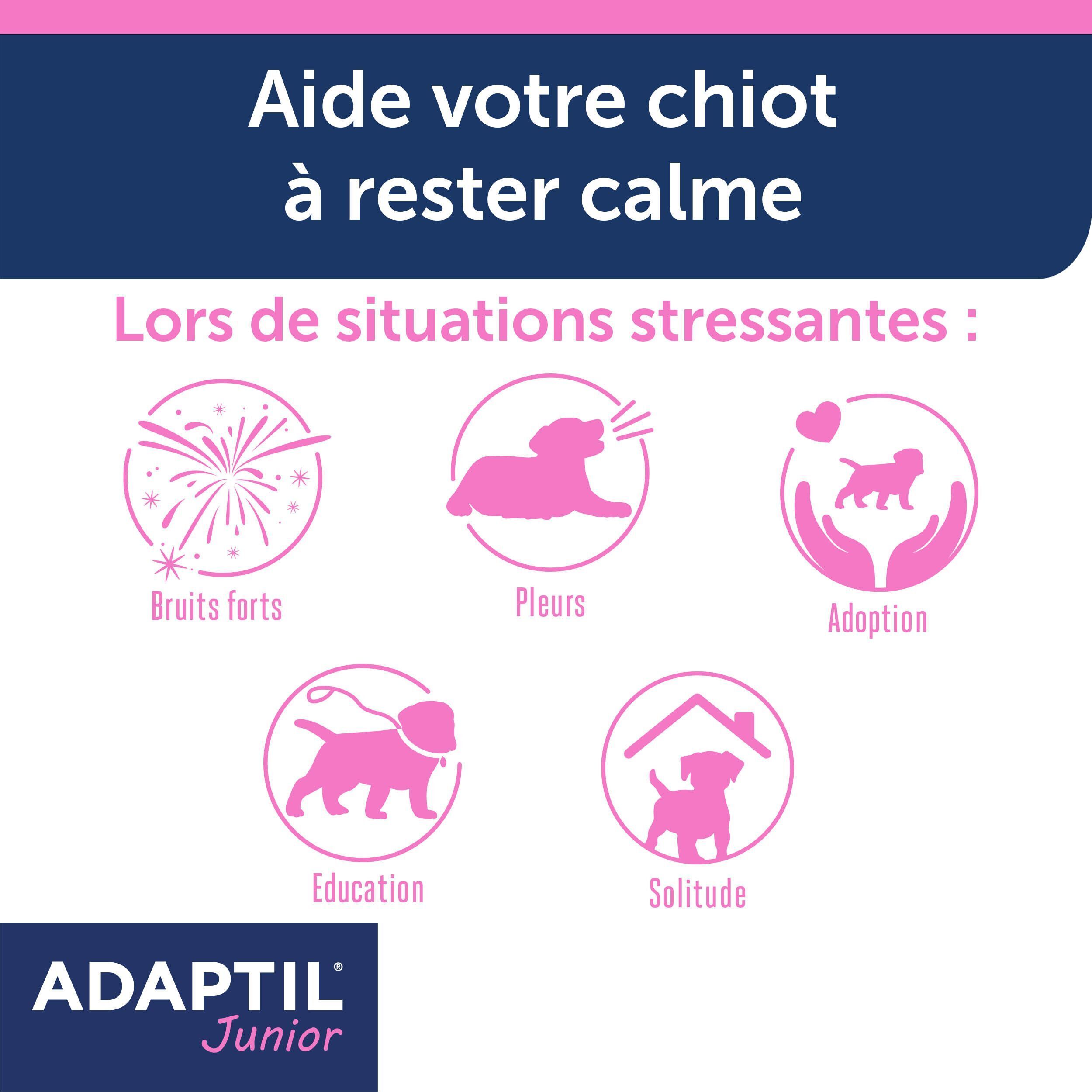 Icônes illustrant les situations où Adaptil Junior aide les chiots : bruits, pleurs, adoption, éducation, solitude.