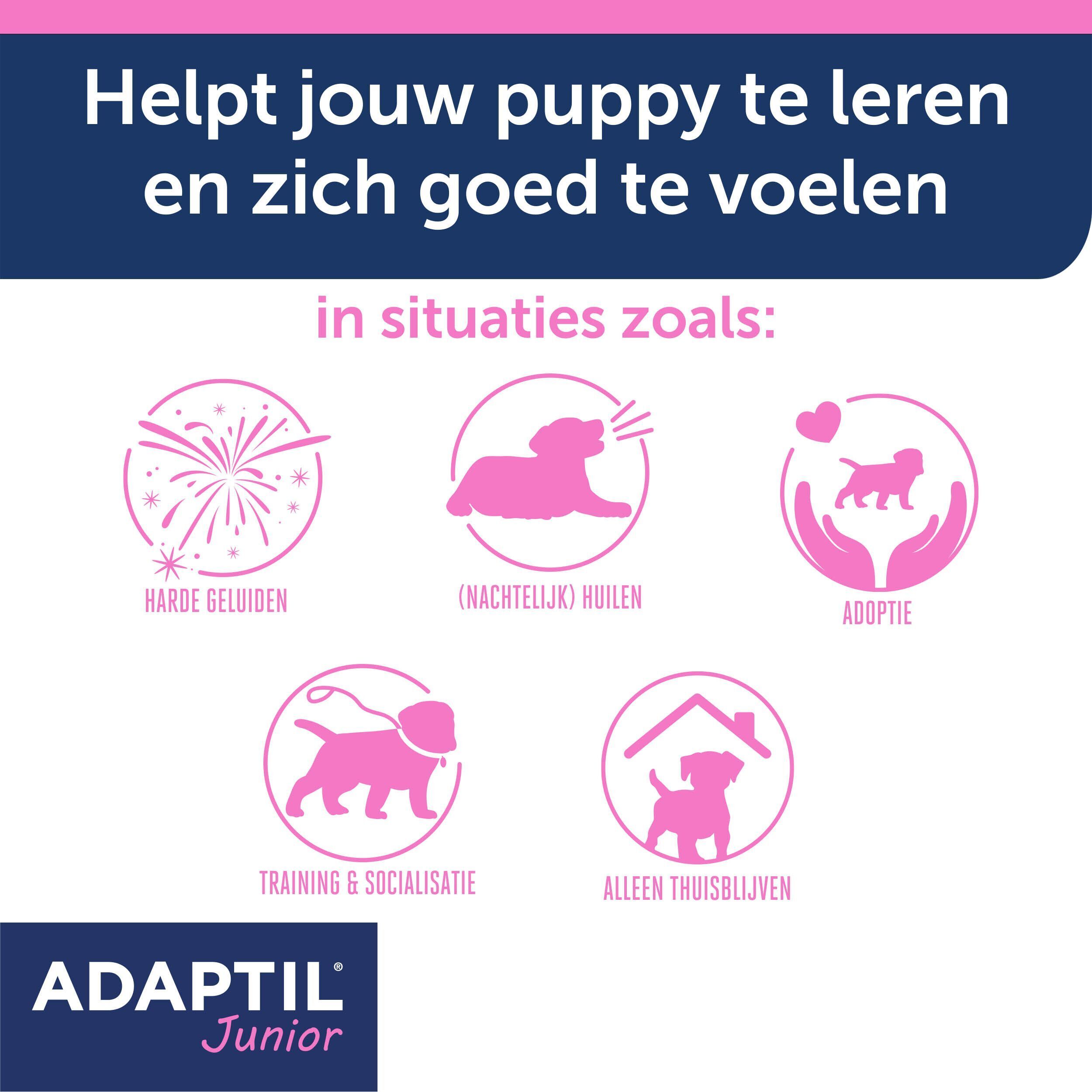 Iconen die situaties illustreren waarin Adaptil Junior puppy's helpt: geluiden, huilen, adoptie, training, alleen zijn.