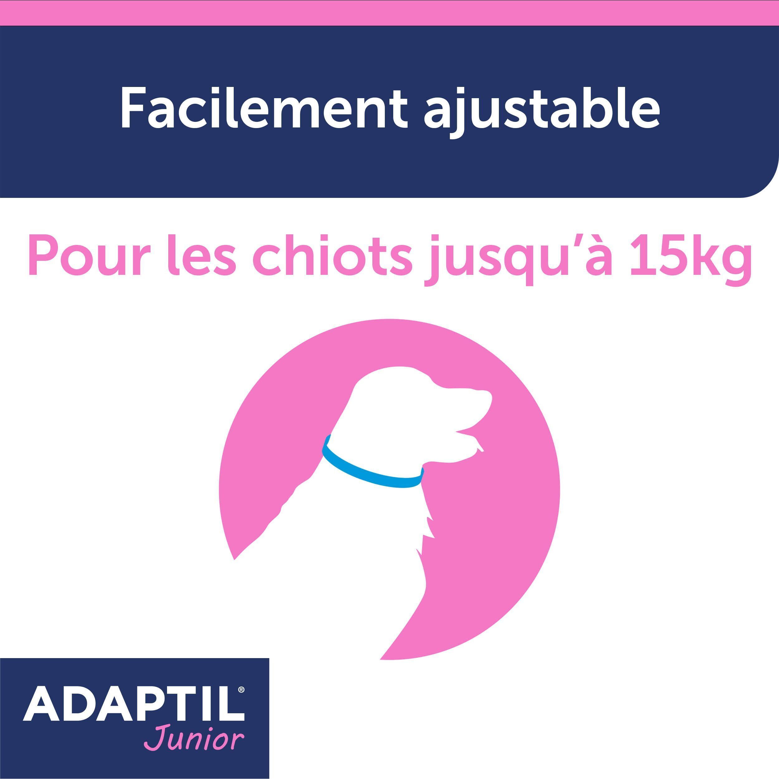 Une illustration de chien portant un collier Adaptil Junior bleu.