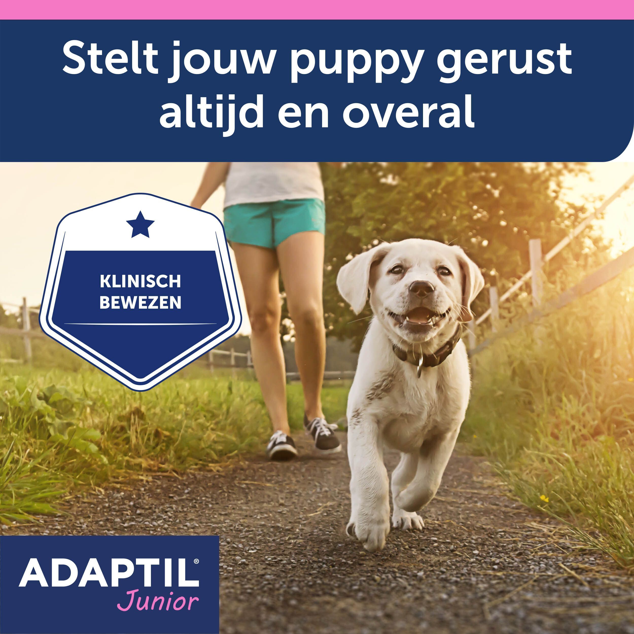 Een puppy geeft een persoon een poot, met een zegel 'Aanbevolen door dierenartsen'.