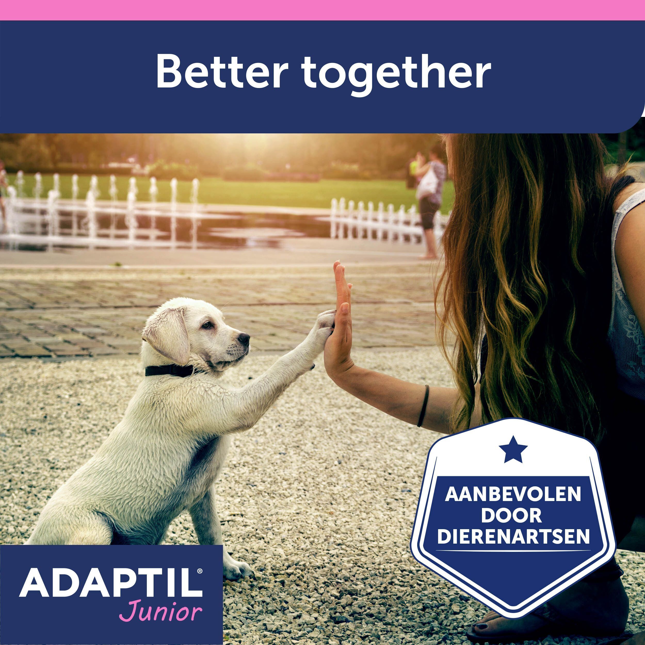 Een puppy zit op een onderzoekstafel bij een dierenarts.