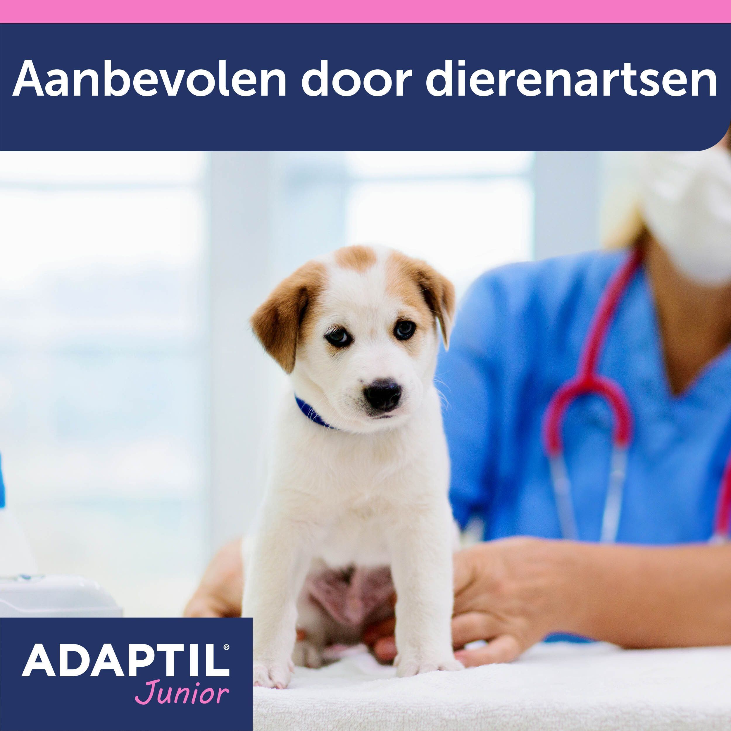 Een selectie van Adaptil producten, waaronder halsbanden, sprays en kauwsnacks.