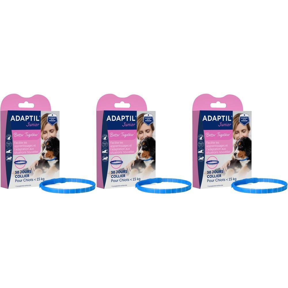 Trois paquets du collier Adaptil Junior pour chien, chacun avec un collier bleu.