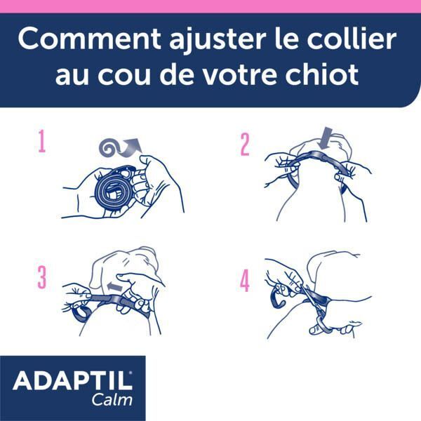 Quatre étapes pour ajuster le collier Adaptil Junior au cou du chiot.
