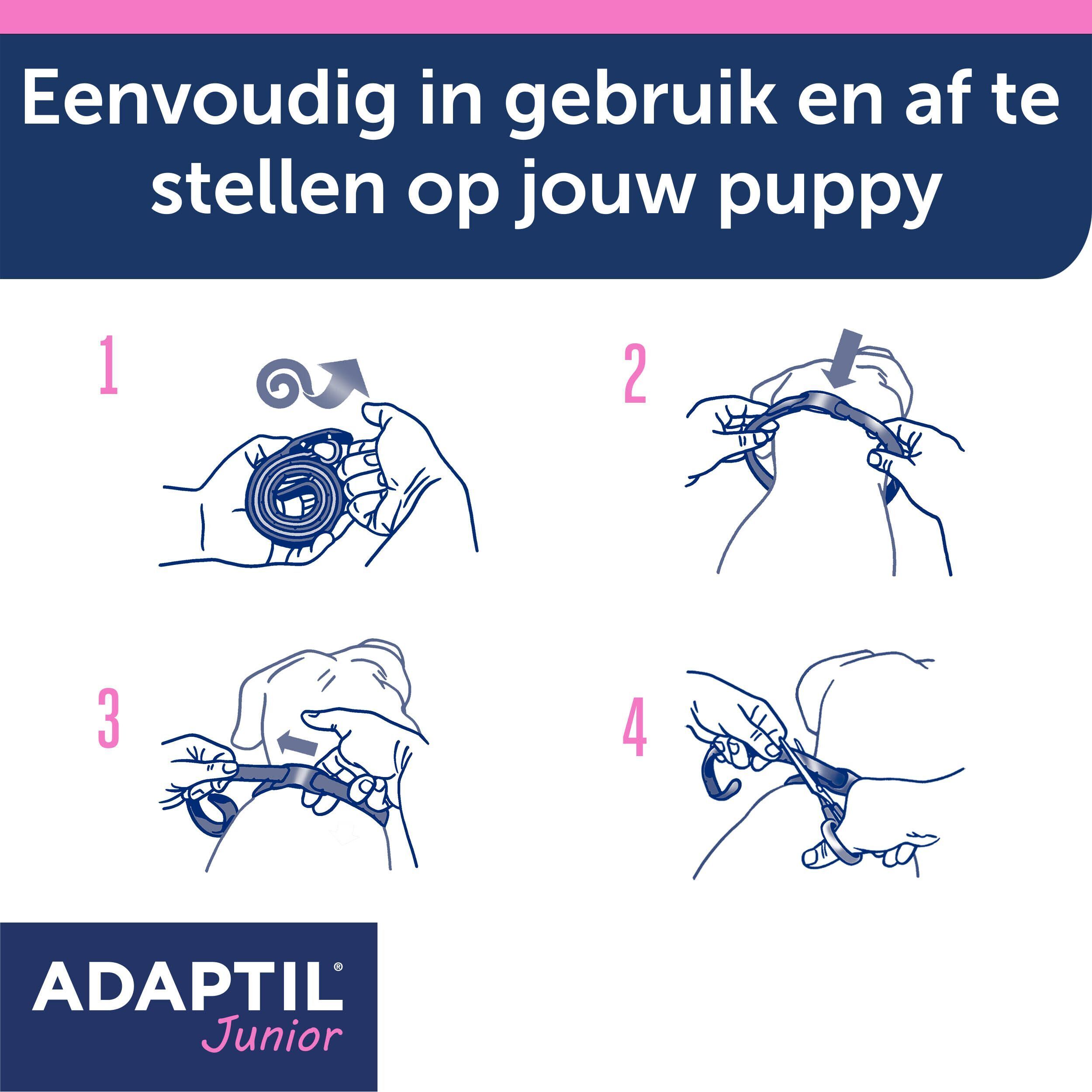 Vier stappen om de Adaptil Junior halsband aan de nek van de puppy aan te passen.