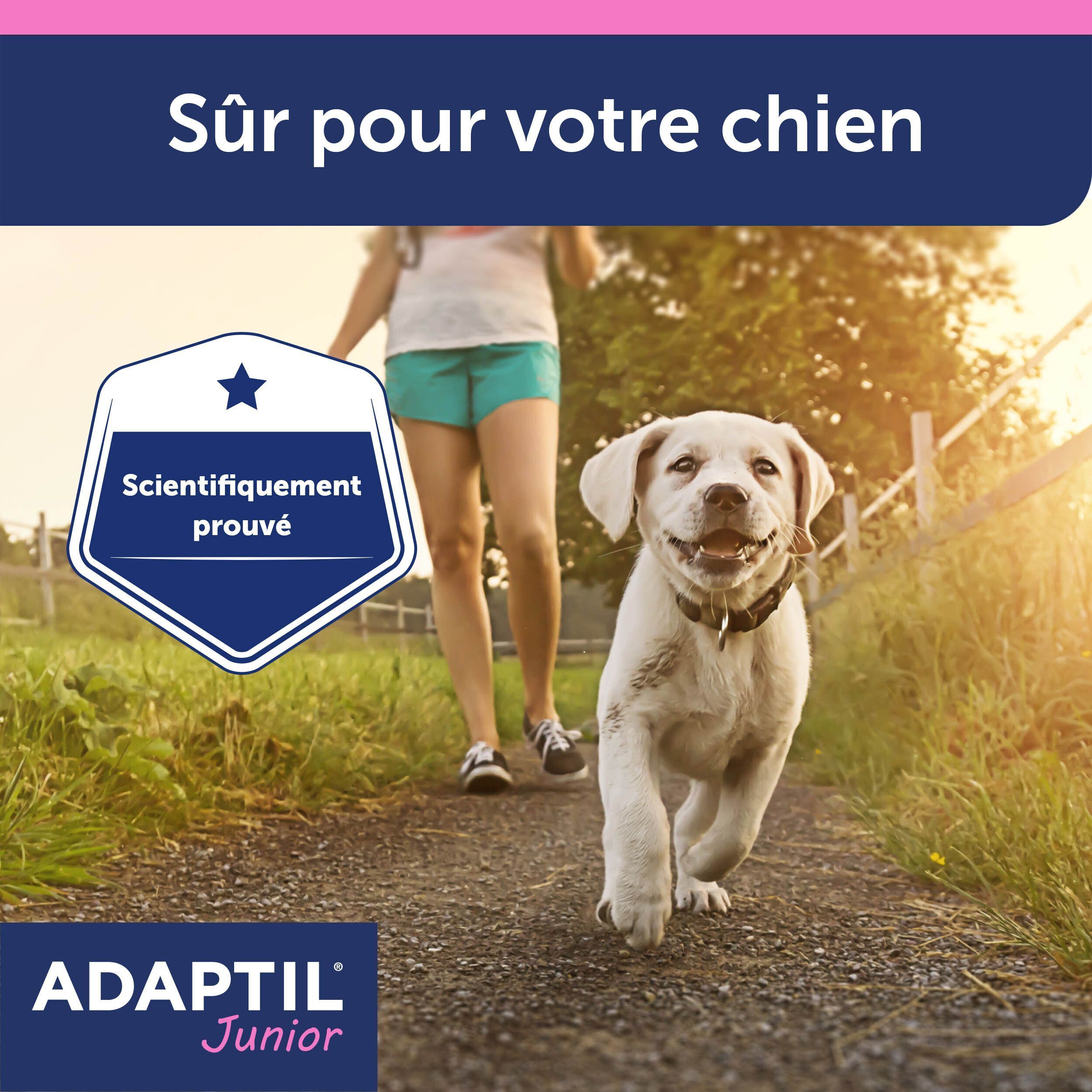 Un jeune chien court dehors avec une personne, avec un sceau 'Scientifiquement prouvé'.
