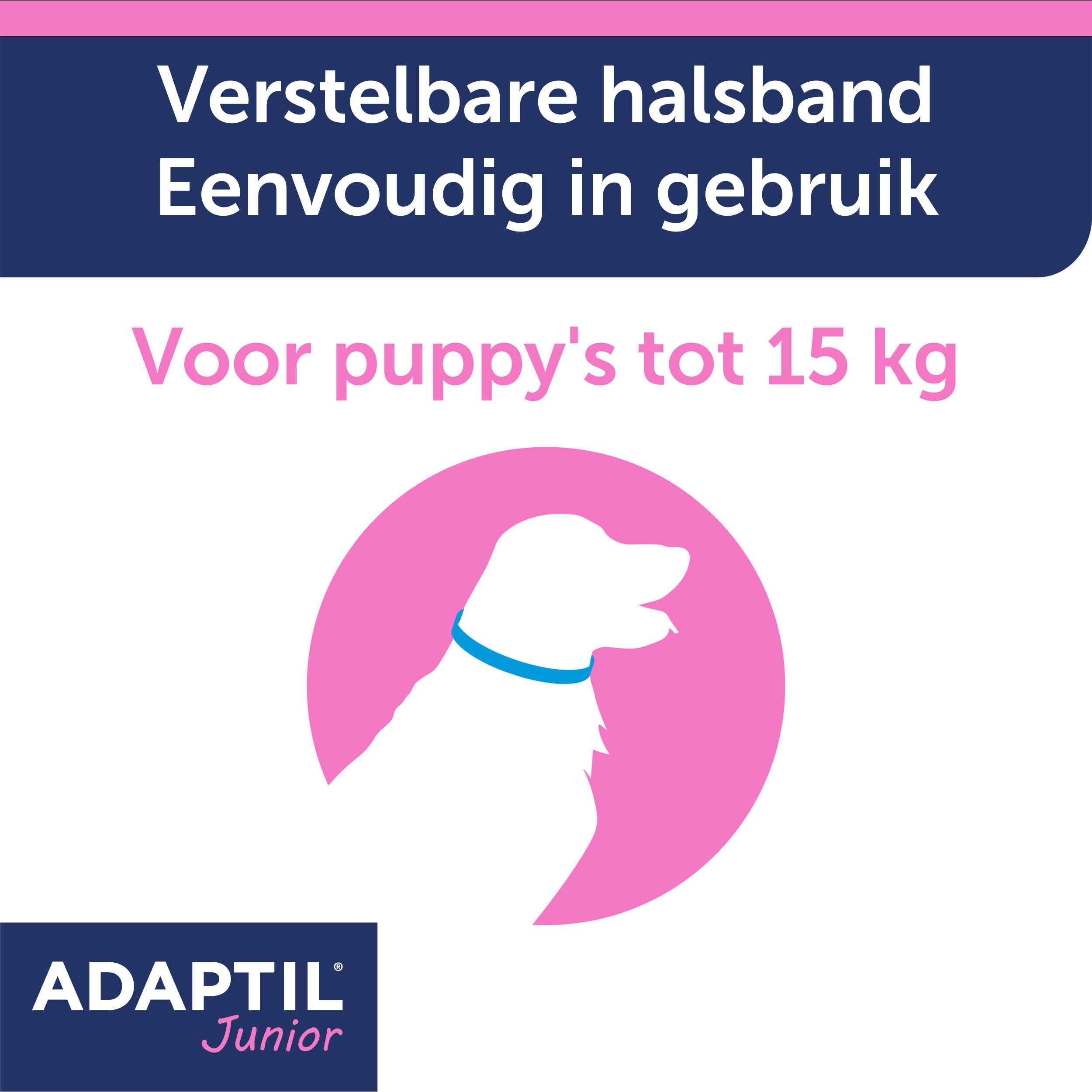 Een jonge hond rent buiten met een persoon, met een zegel 'Klinisch bewezen'.