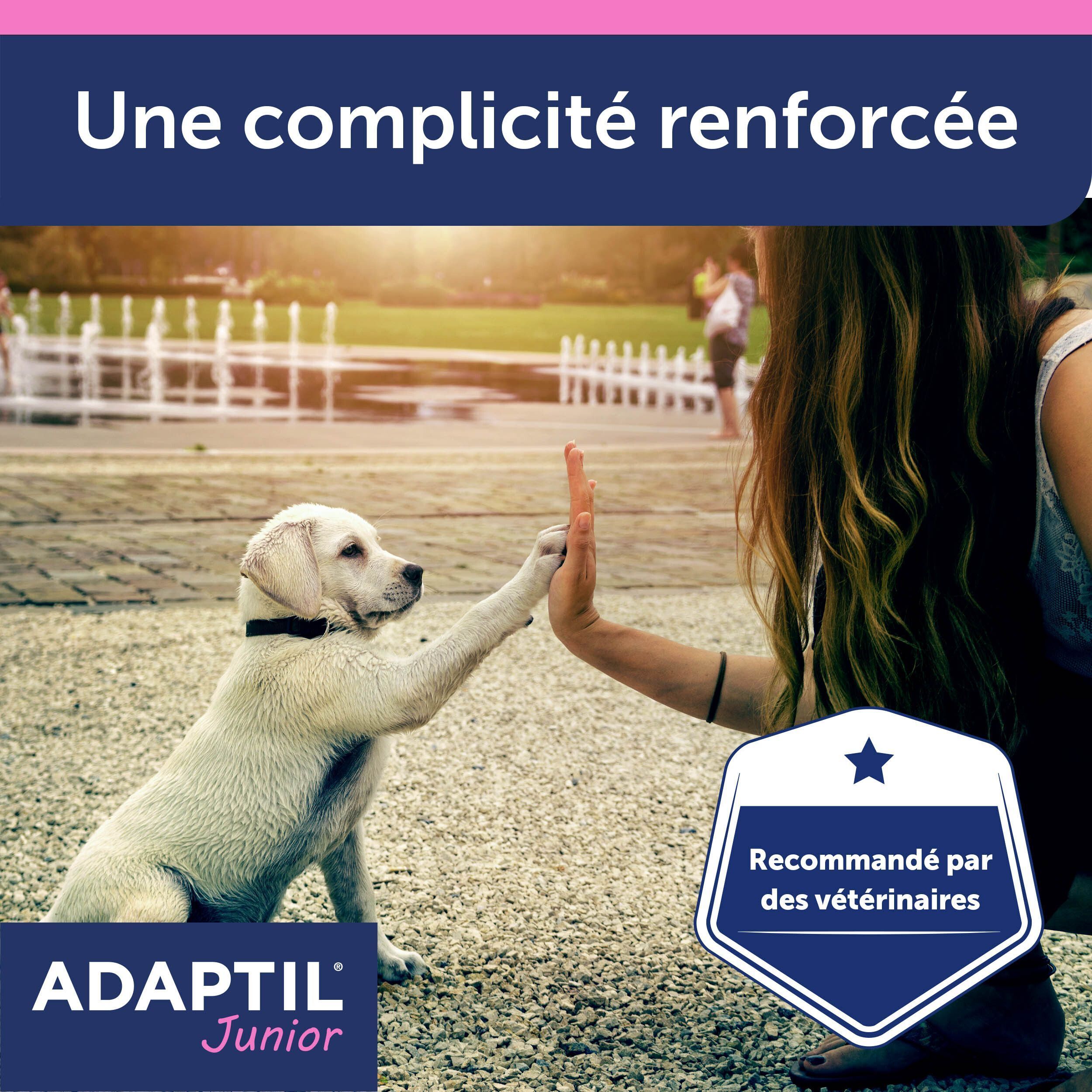 Un jeune chien donne le high five à une personne devant un parc avec des fontaines, avec un sceau 'Recommandé par des vétérinaires'.