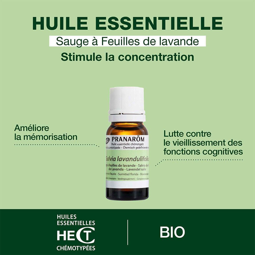 Flacon d'huile essentielle de sauge à feuilles de lavande, entouré de texte sur la concentration et la mémoire.