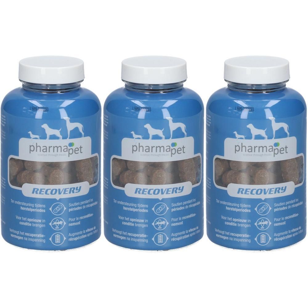 Trois contenants bleus de Pharma Pet Musclemax Recovery pour chiens.
