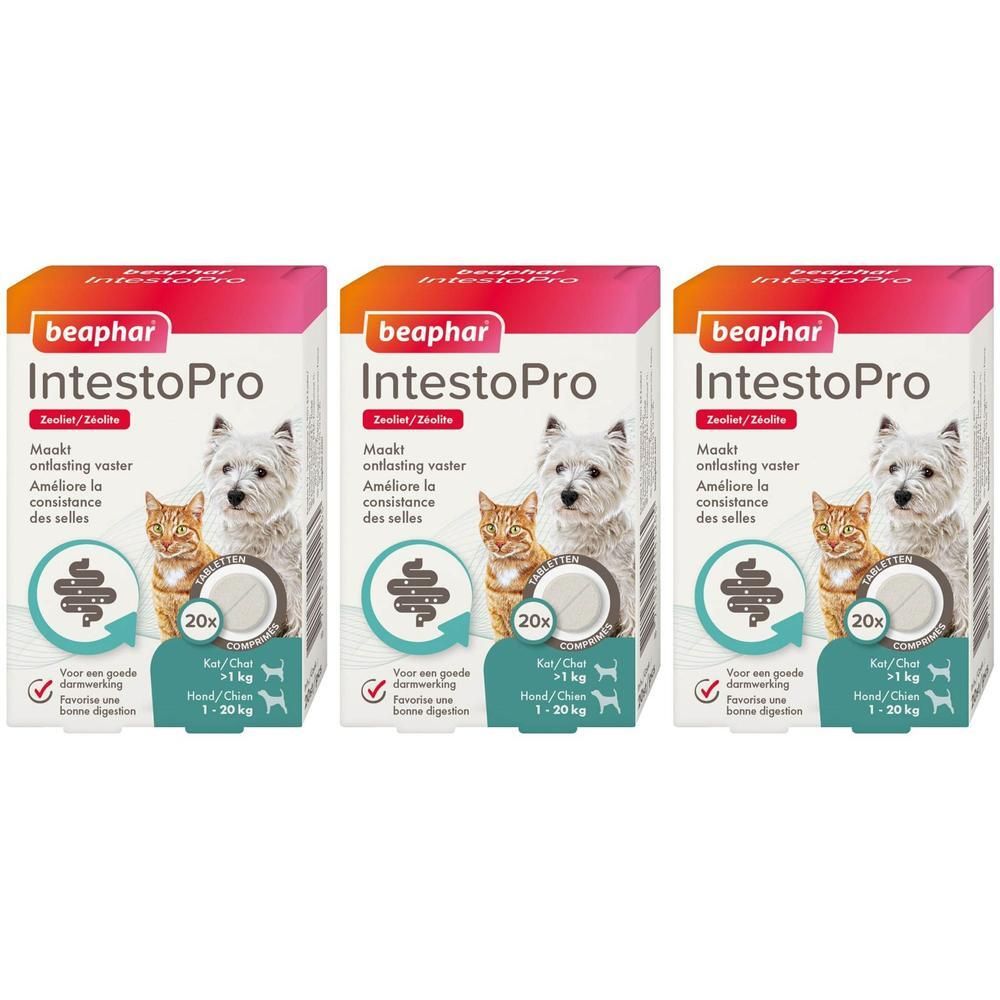 Trois boîtes Beaphar IntestoPro pour chiens et chats. Montre un chien, un chat et un symbole intestinal.
