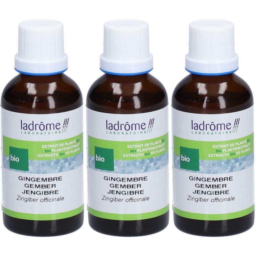 Ladrôme Gingembre Extrait Végétale