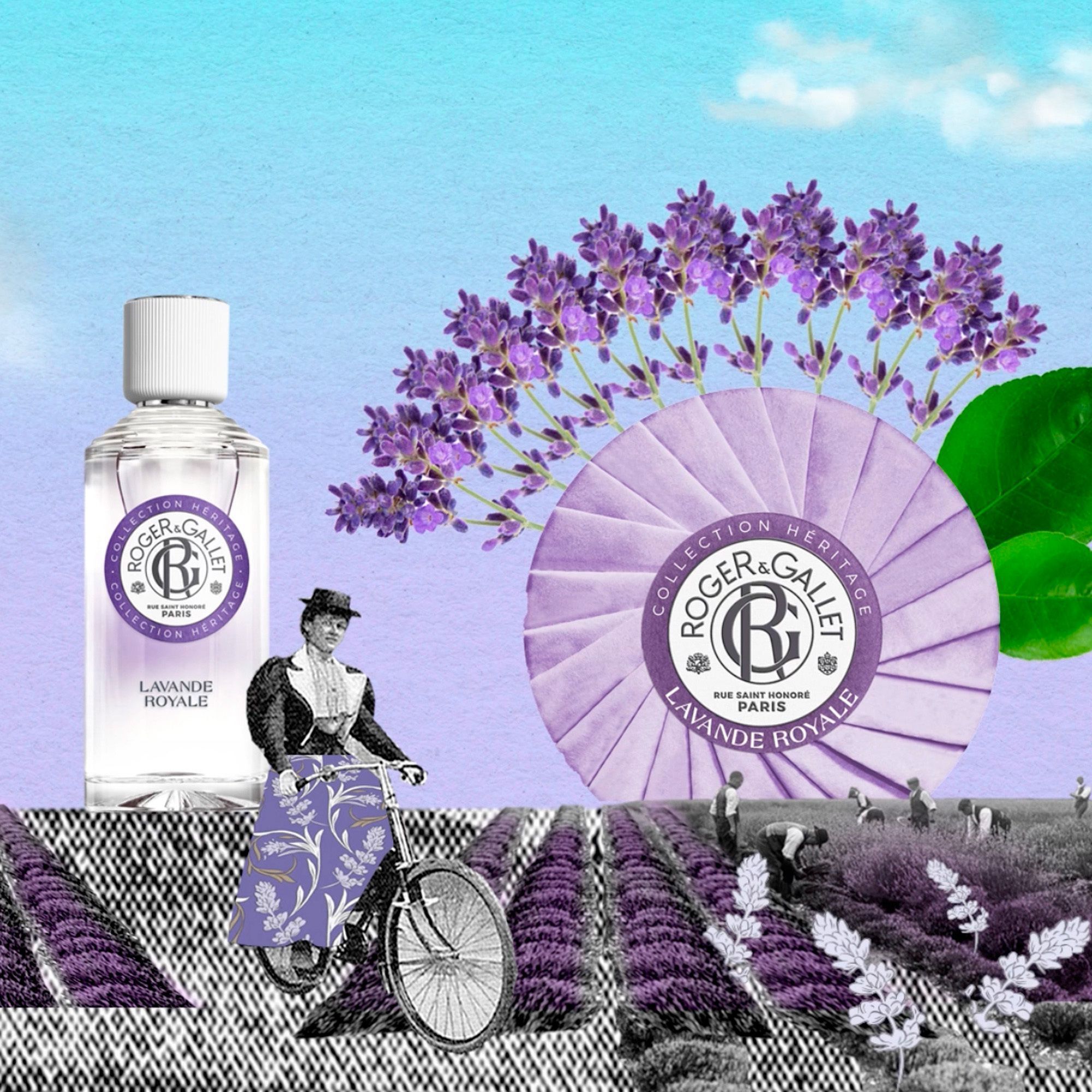 Champ de lavande, un savon, une bouteille et une femme à vélo, avec des branches de lavande.