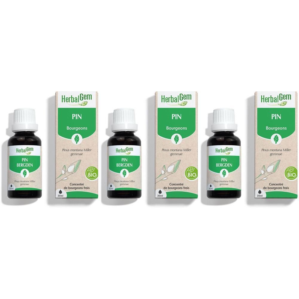 Cinq flacons HerbalGem Pin Bourgeons avec leurs boîtes. Flacons en verre foncé avec bouchon compte-gouttes blanc.
