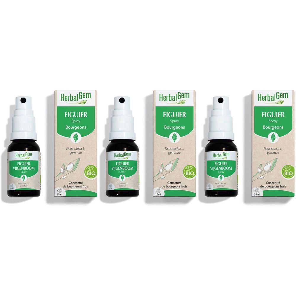 Cinq flacons de spray HerbalGem Figuier Bio avec leurs boîtes.