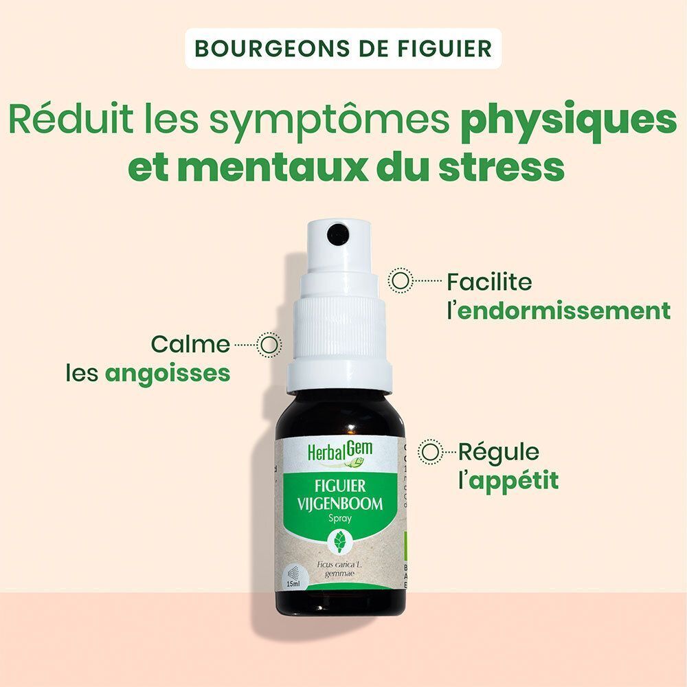 Spray HerbalGem Figuier Bio : calme, facilite l'endormissement, régule l'appétit.